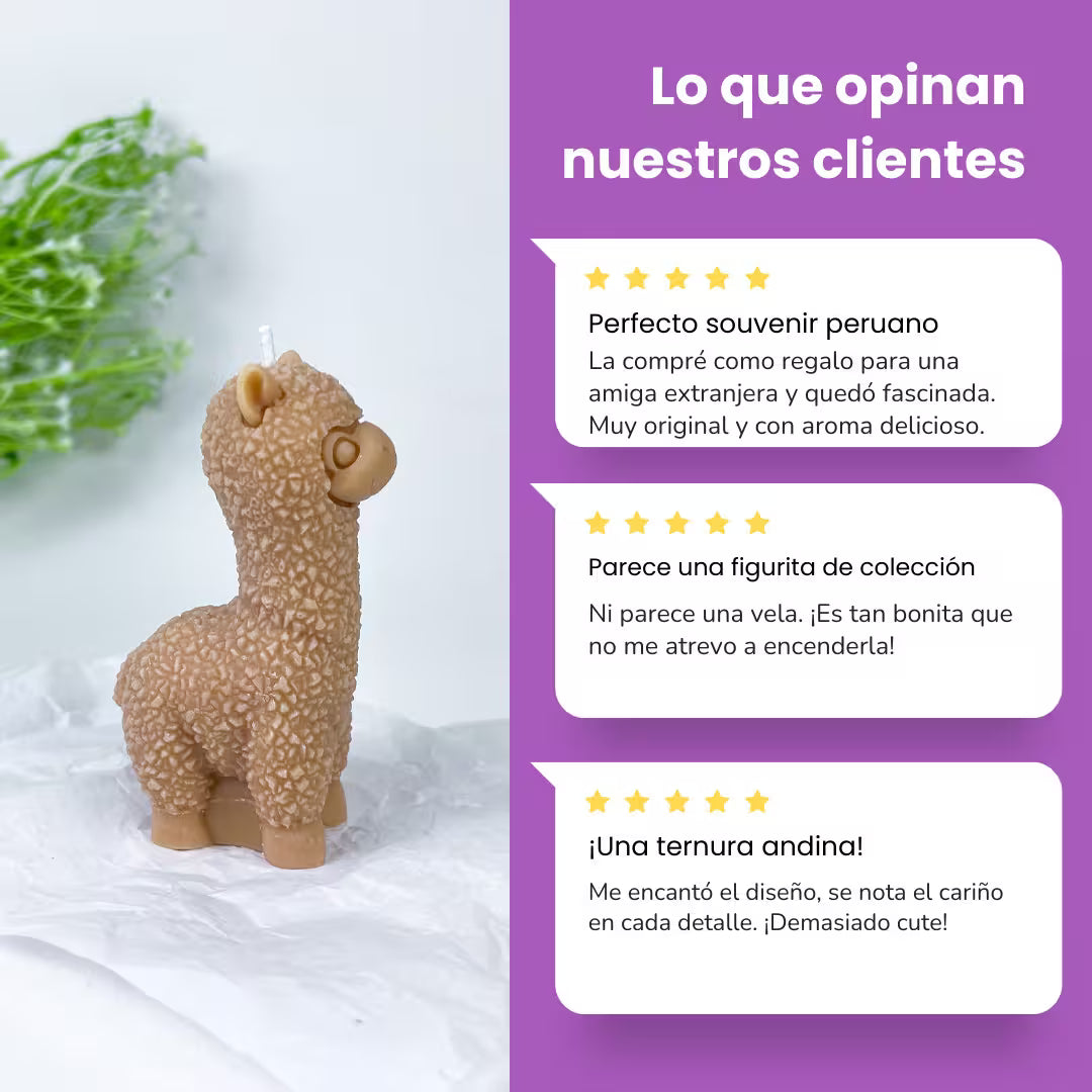 Vela Alpaca
