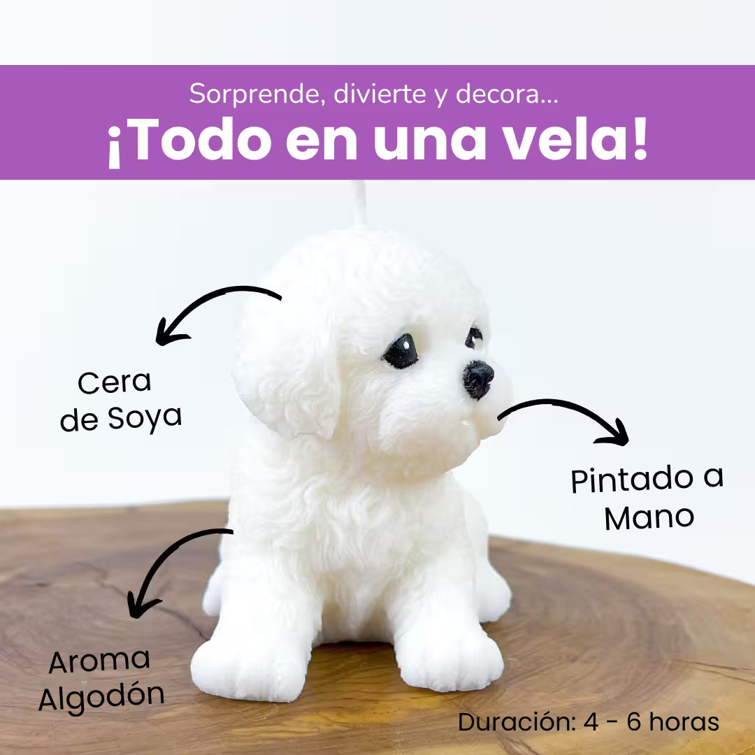 Vela Bichón Gr.