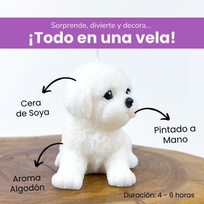 Vela Bichón Gr.
