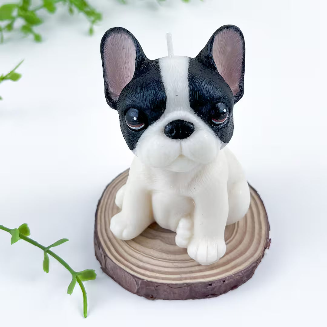 Vela Bulldog Francés