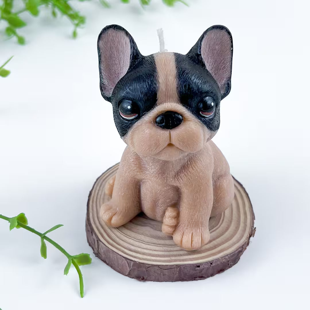 Vela Bulldog Francés