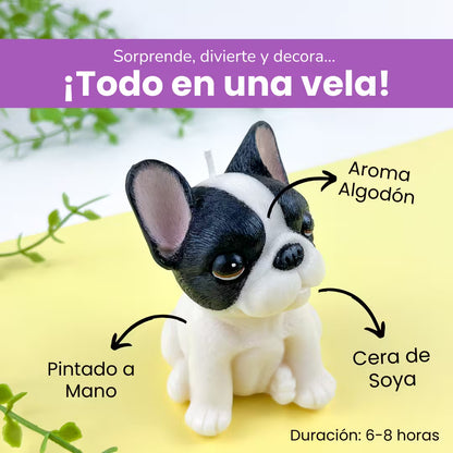 Vela Bulldog Francés