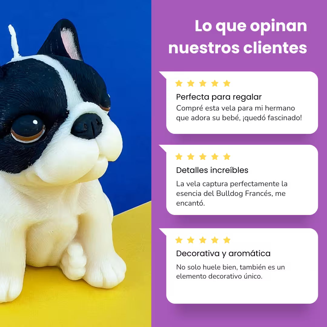 Vela Bulldog Francés