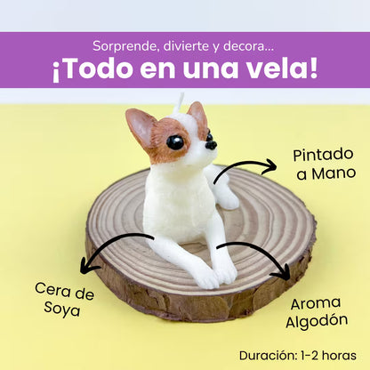 Vela Chihuahua