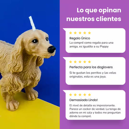 Vela Cocker Spaniel