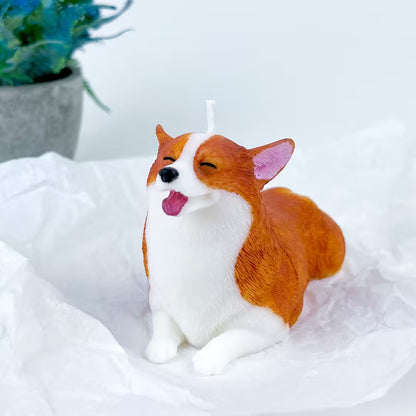 Vela Corgi
