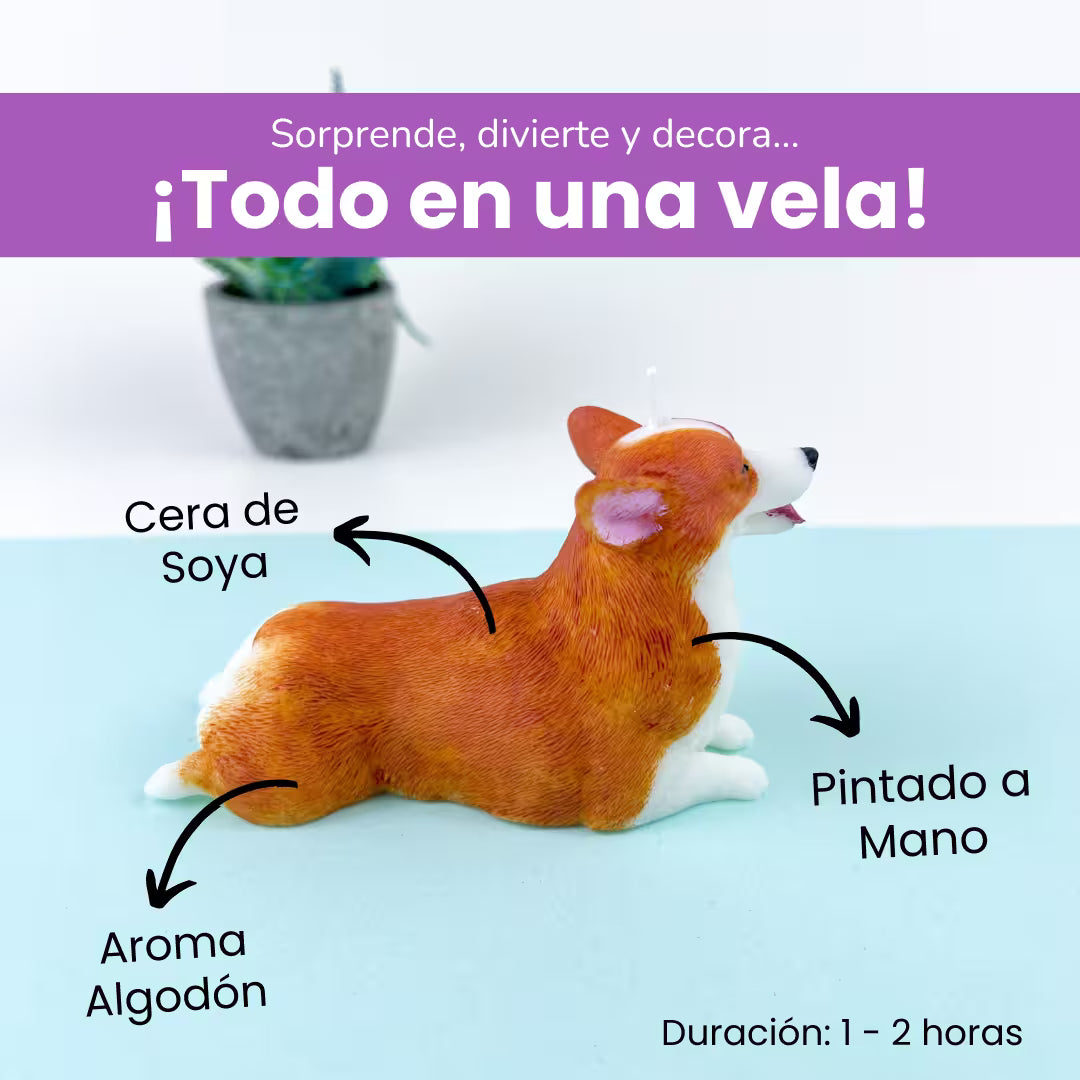 Vela Corgi