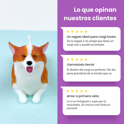 Vela Corgi