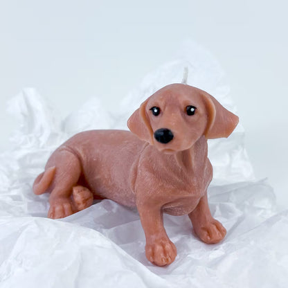 Vela Dachshund