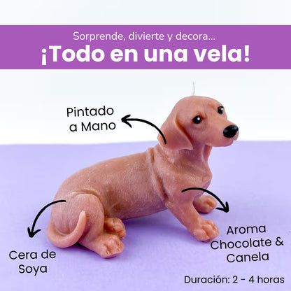 Vela Dachshund
