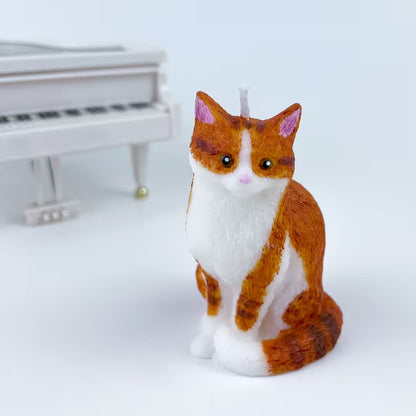 Vela Gato
