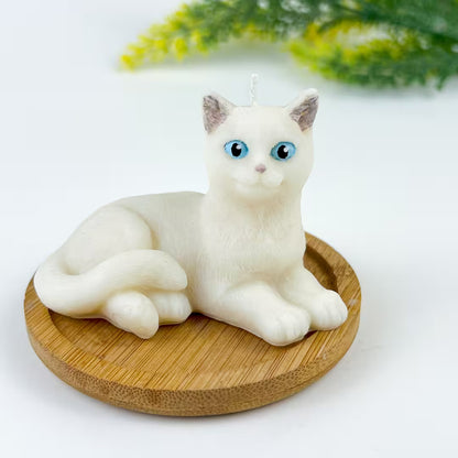 Vela Gato Acostado
