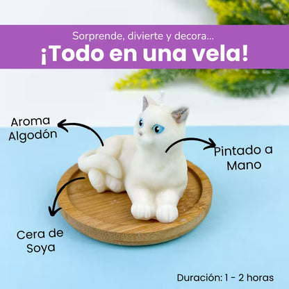 Vela Gato Acostado