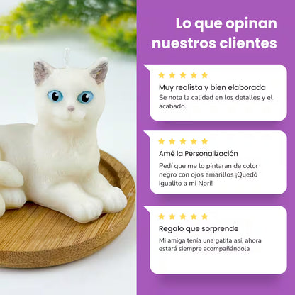 Vela Gato Acostado