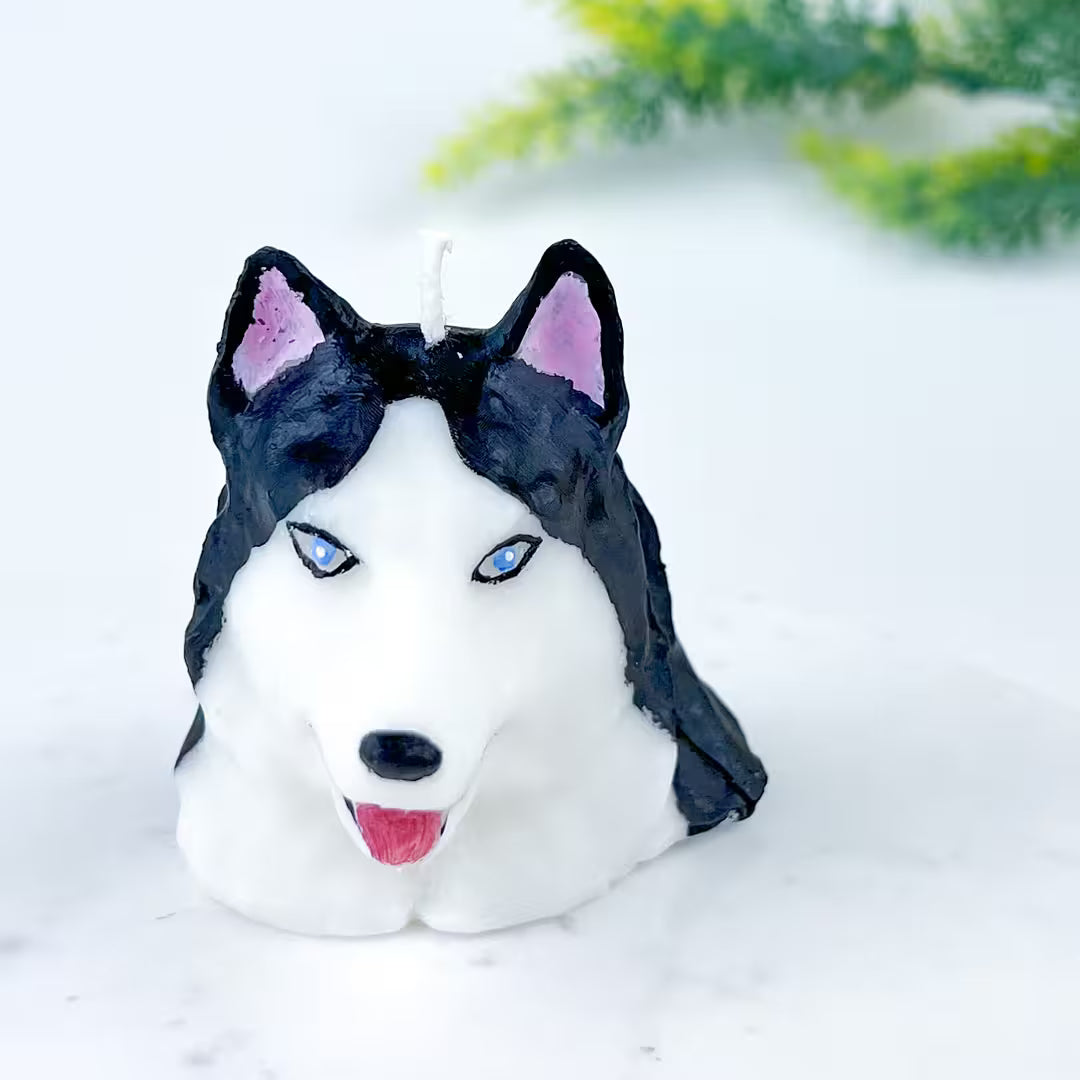 Vela Husky