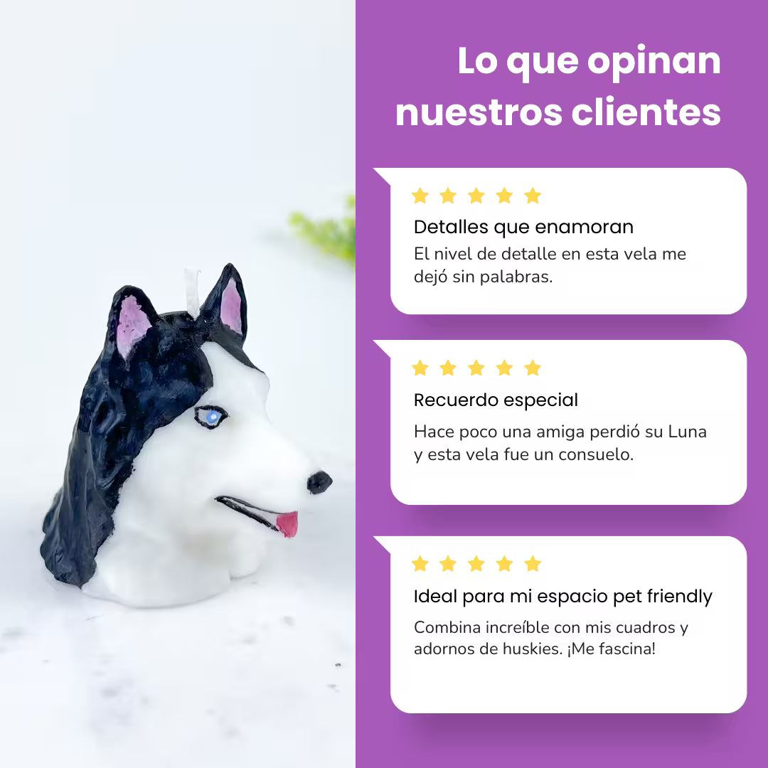 Vela Husky