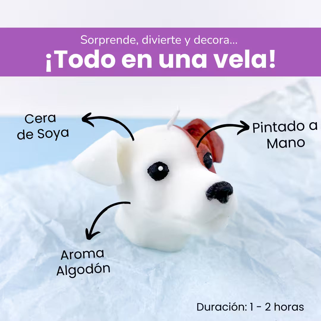 Vela Jack Russell