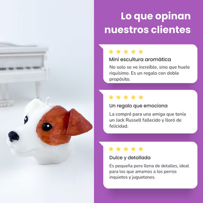 Vela Jack Russell