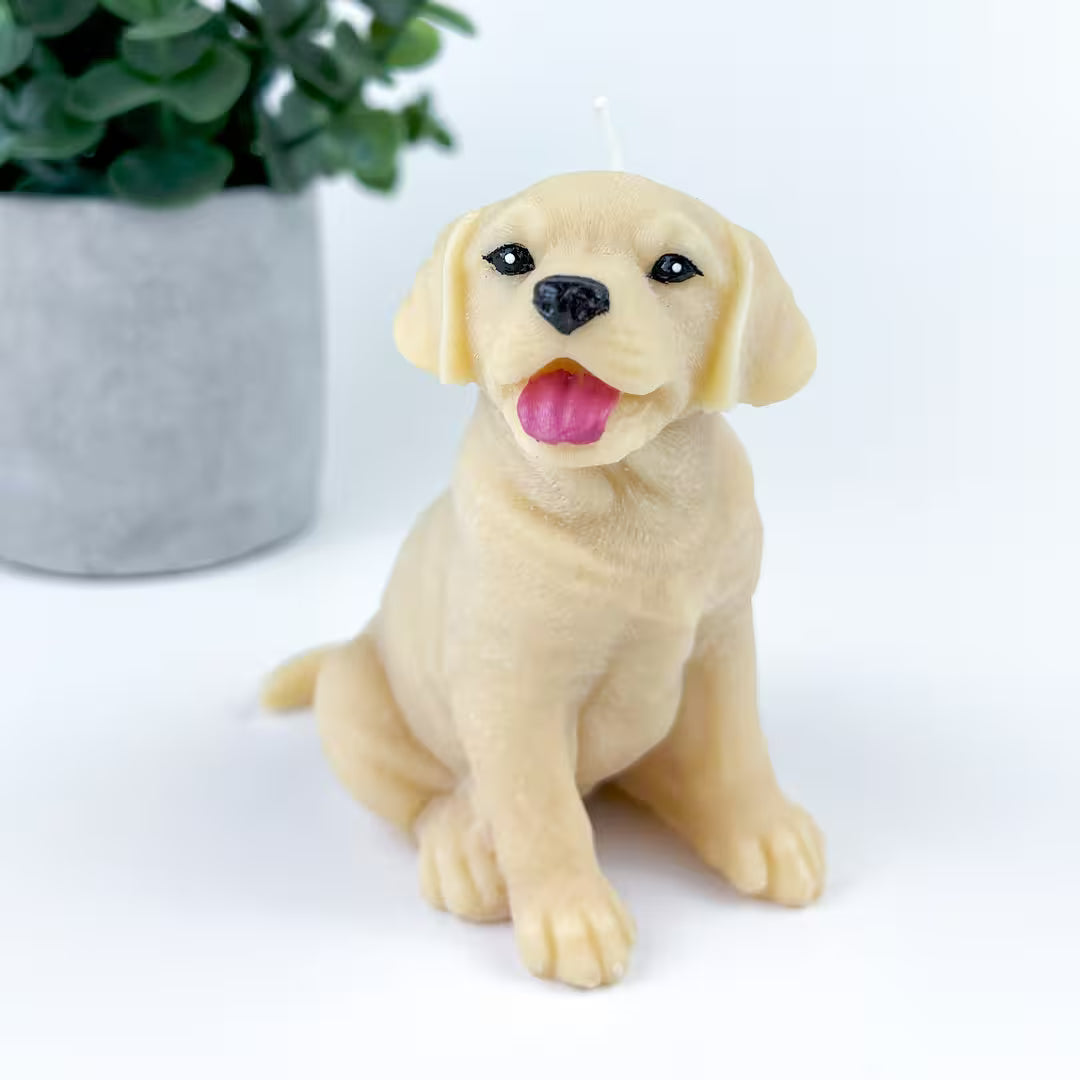 Vela Labrador Golden