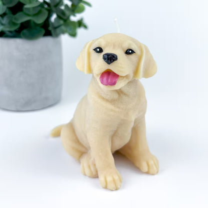 Vela Labrador Golden
