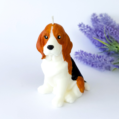 Vela Beagle
