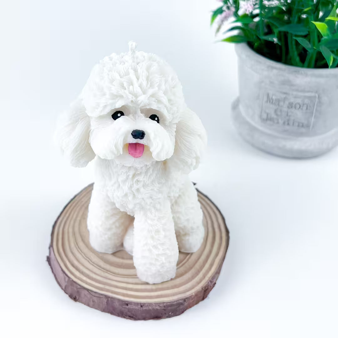Vela Poodle