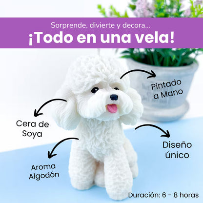 Vela Poodle