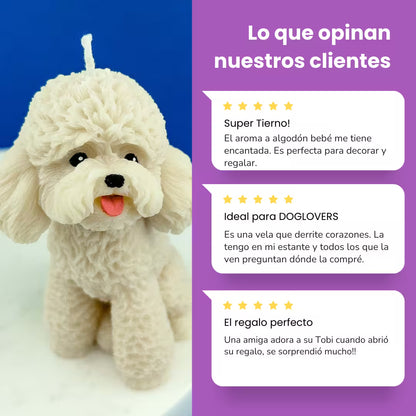 Vela Poodle