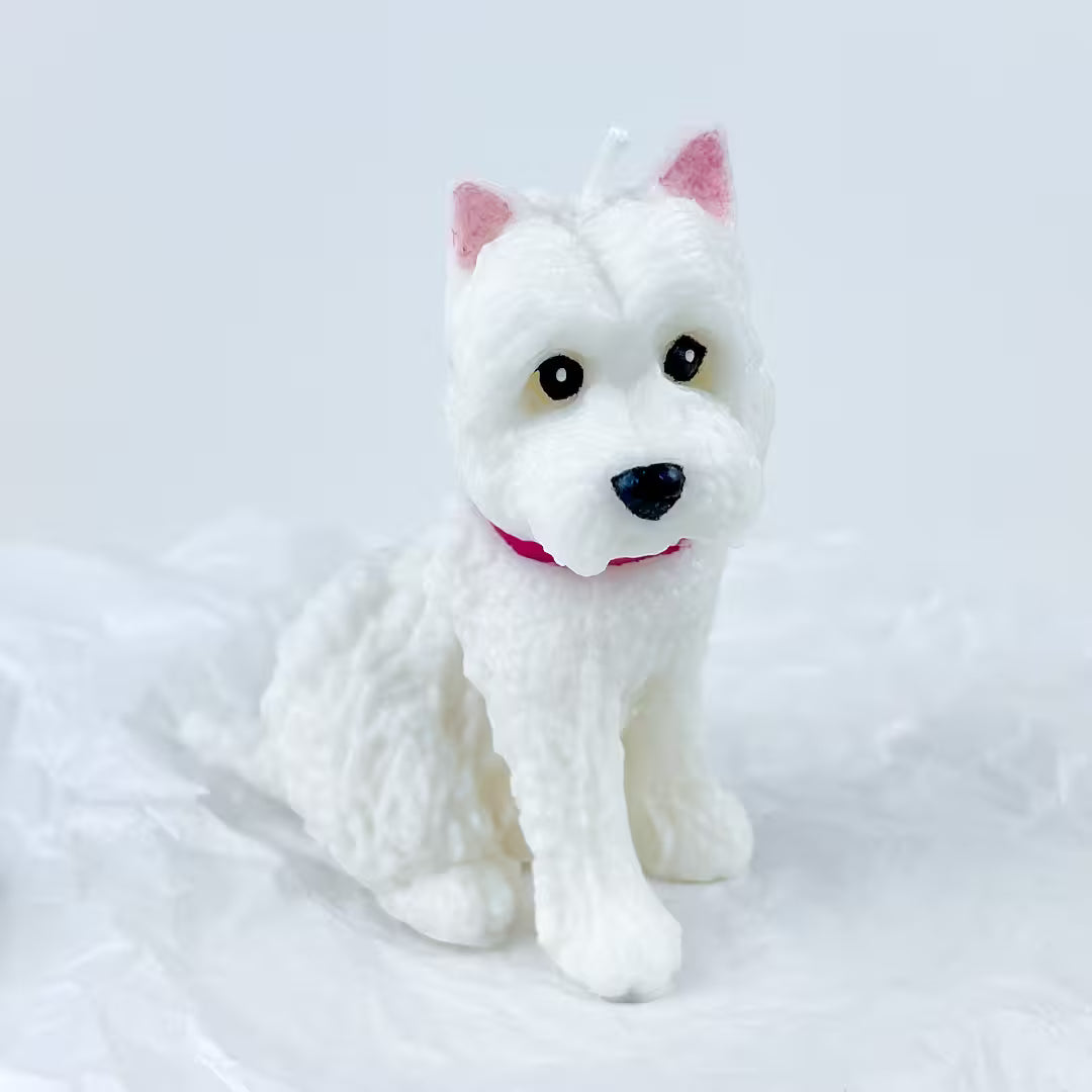 Vela White Terrier