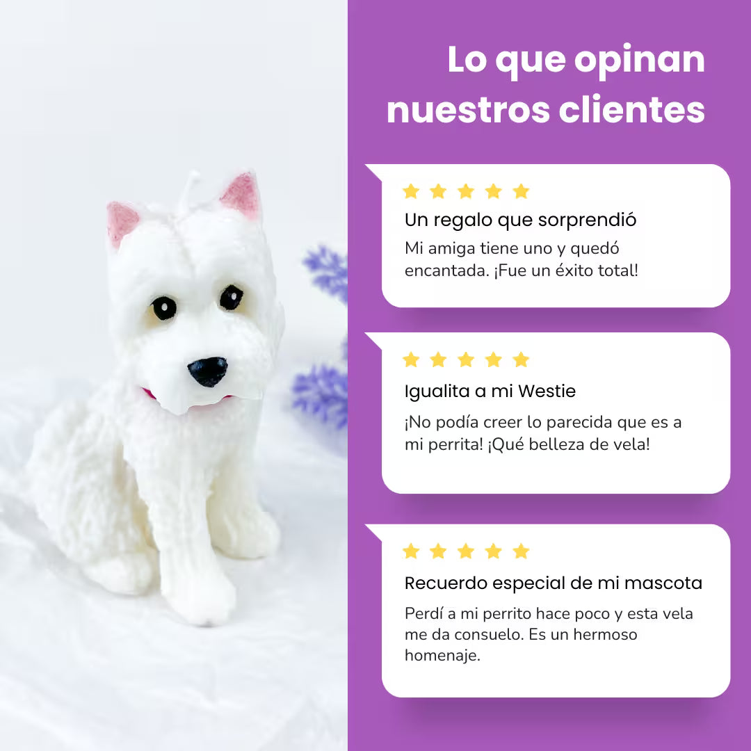 Vela White Terrier