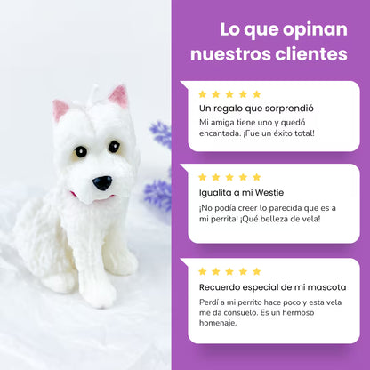 Vela White Terrier