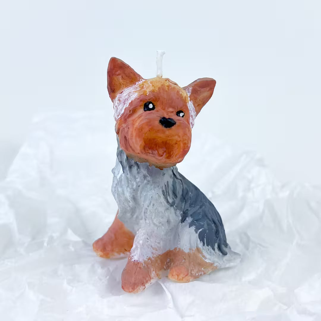 Vela Yorkie